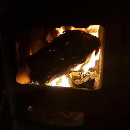 Wild Nest Rabbit Lux 兹拉蒂博尔