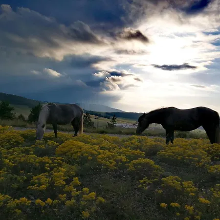 度假居 Wild Nest Rabbit Lux