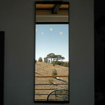 Wild Nest Rabbit Lux