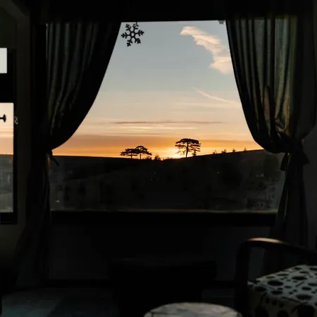 Wild Nest Rabbit Lux * 兹拉蒂博尔