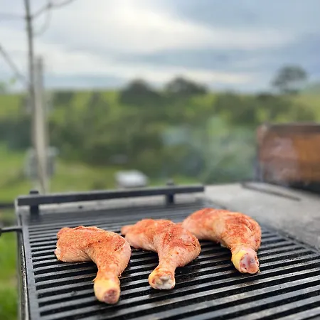 Wild Nest Rabbit Lux *