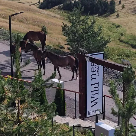 Wild Nest Rabbit Lux 兹拉蒂博尔