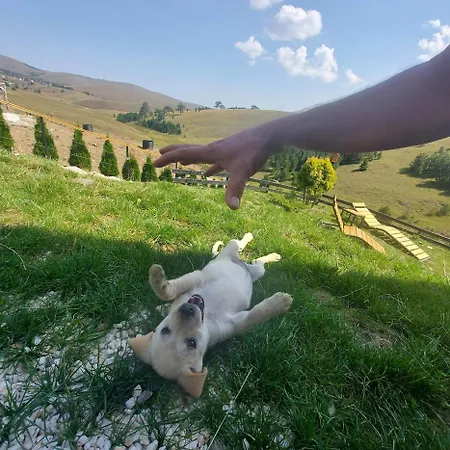 Wild Nest Rabbit Lux