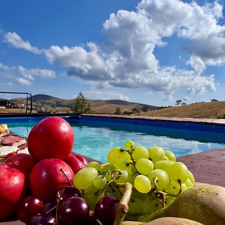 度假居 Wild Nest Rabbit Lux