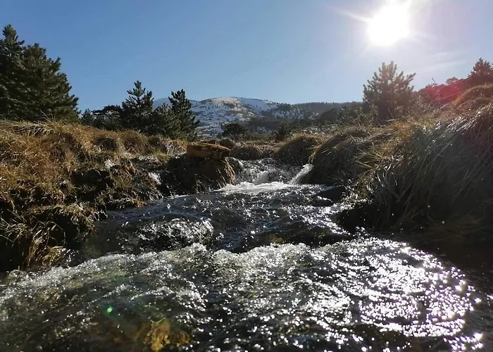 Wild Nest Rabbit Lux * Zlatibor
