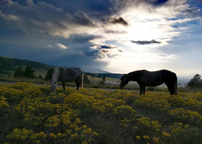 Ferienhaus Wild Nest Rabbit Lux
