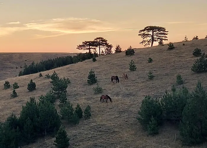 Дом отдыха Wild Nest Rabbit Lux *