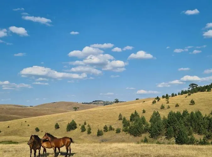 Wild Nest Rabbit Lux * Златибор