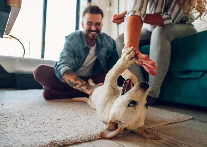 Wild Nest Rabbit Lux Ferienhaus Zlatibor