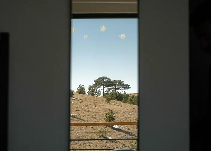 Wild Nest Rabbit Lux