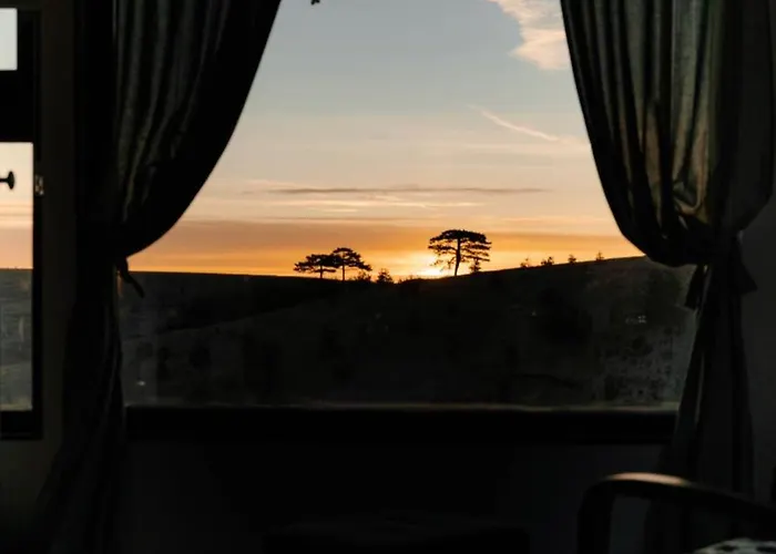 Wild Nest Rabbit Lux * Златибор