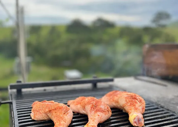 Wild Nest Rabbit Lux *