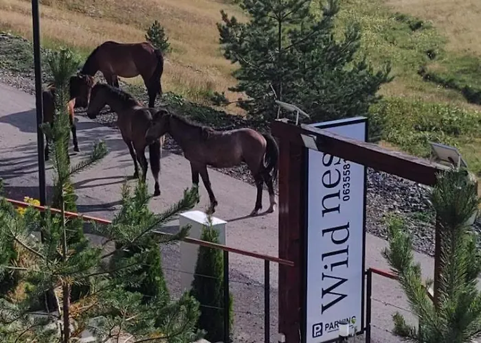 Wild Nest Rabbit Lux Zlatibor