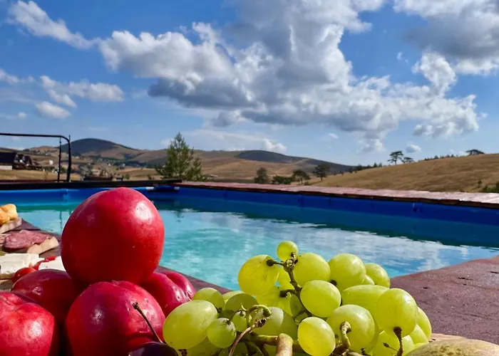 Дом отдыха Wild Nest Rabbit Lux